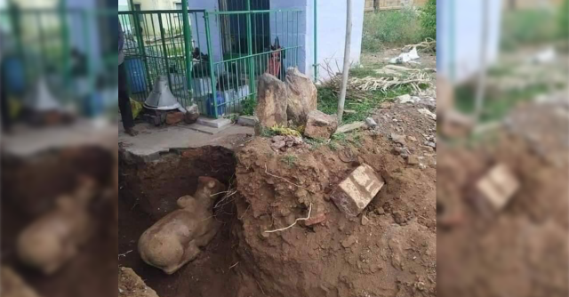 The Idol of Hindu deity Nandi was not found buried under a mosque – FactCrescendo | The leading fact-checking website in India